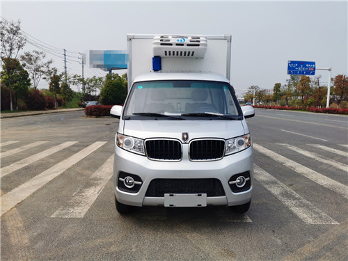 國六金杯T30汽油藍(lán)牌冷藏車