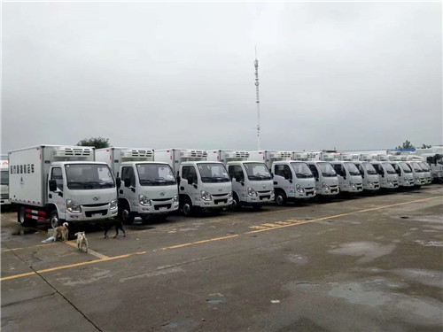 國六躍進醫(yī)療廢物轉運車